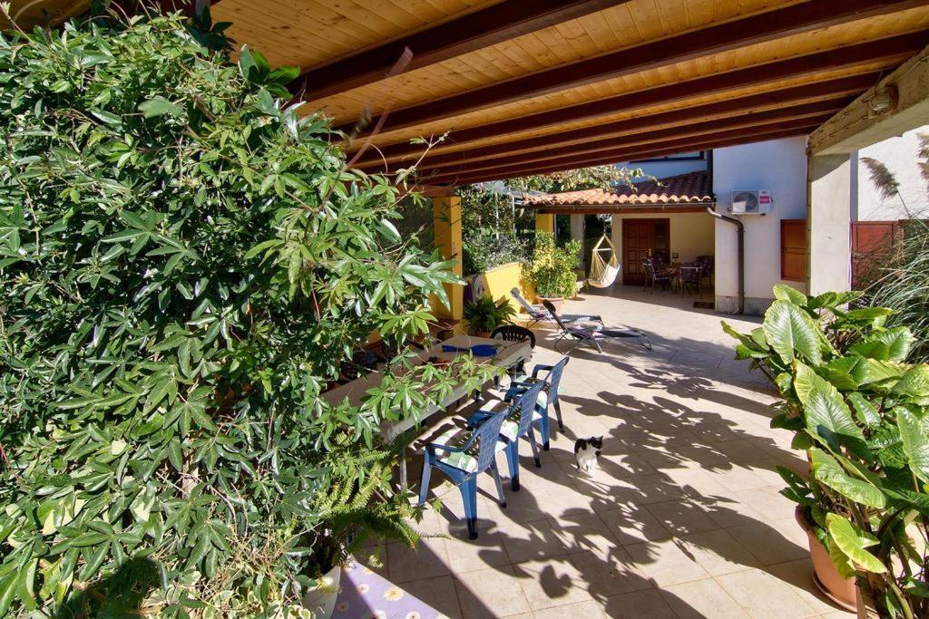 Apartments Caterina Pula Exterior foto